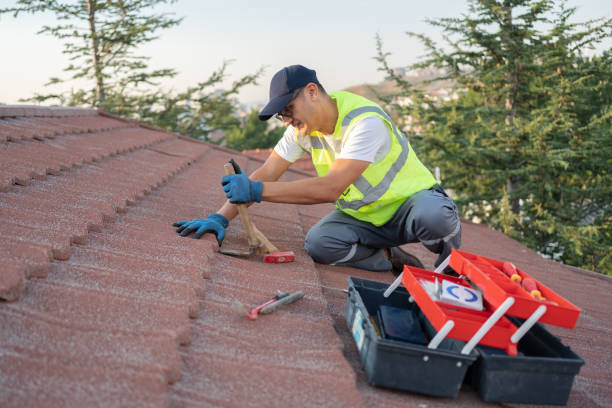 Best Roof Leak Repair  in Castle Pines, CO