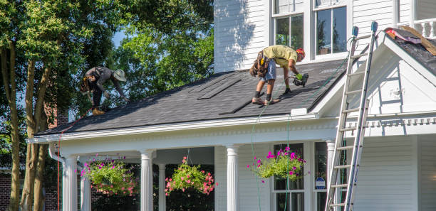 Best Roof Gutter Cleaning  in Castle Pines, CO